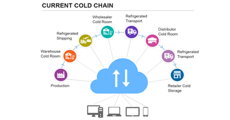 atos-ascent-current-gold-chain