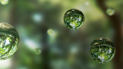 bubbles in nature